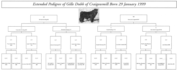 Gille Dubh of Craigomill Pedigree