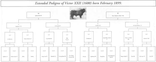 Victor XXII Pedigree