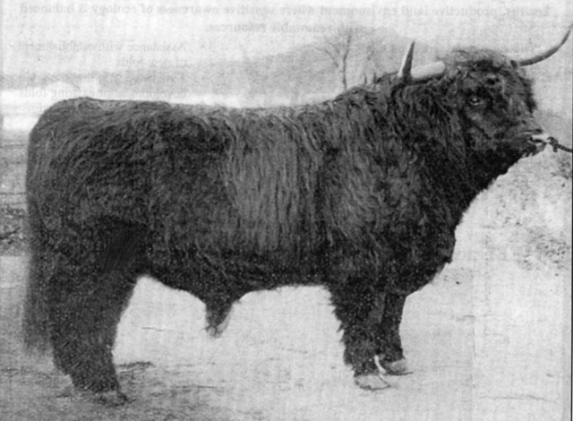 Victor XXII (1600)