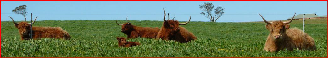 Winter grazing